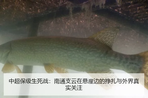 中超保级生死战：南通支云在悬崖边的挣扎与外界真实关注